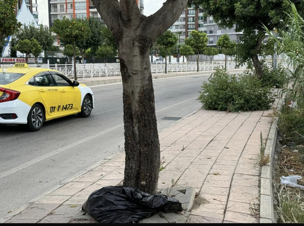 Buradan yürüyecek akrobatik yeteneği olan engelliler aranıyor…! 7