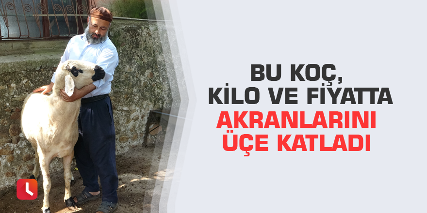 Bu koç, kilo ve fiyatta akranlarını üçe katladı