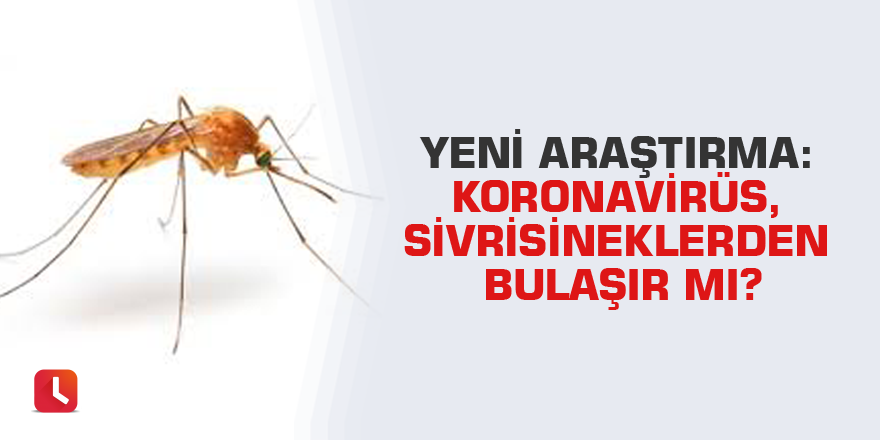 Yeni araştırma: Koronavirüs, sivrisineklerden bulaşır mı?