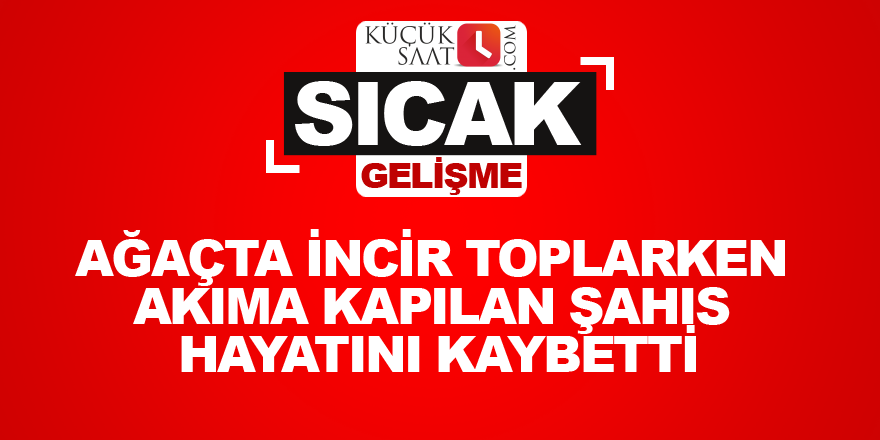 Ağaçta incir toplarken akıma kapılan şahıs hayatını kaybetti