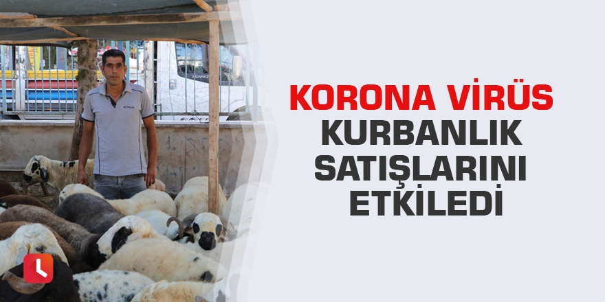 Korona virüs kurbanlık satışlarını etkiledi