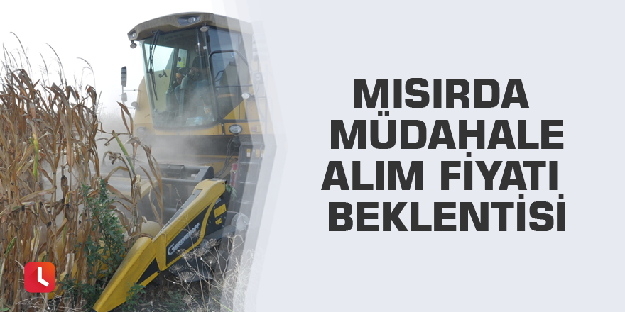 Mısırda müdahale alım fiyatı beklentisi