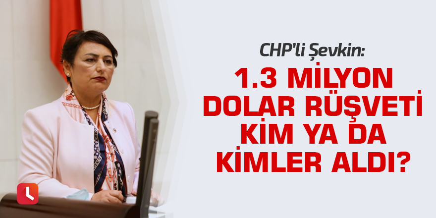 1.3 milyon dolar rüşveti kim ya da kimler aldı?