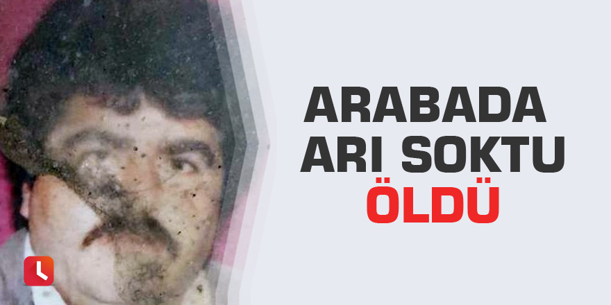 Arabada arı soktu öldü