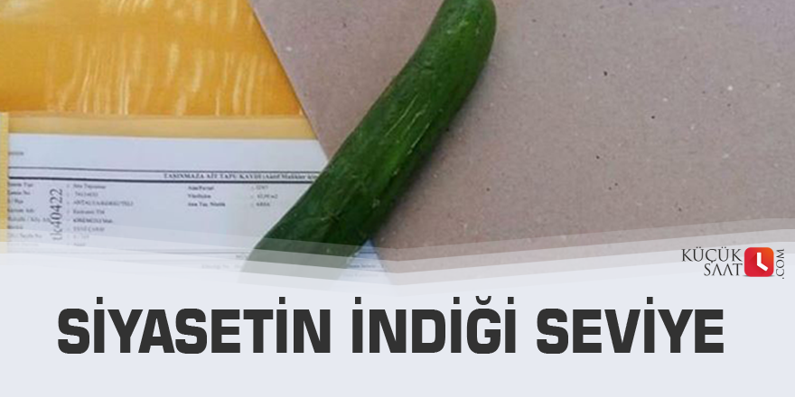 Siyasetin indiği seviye