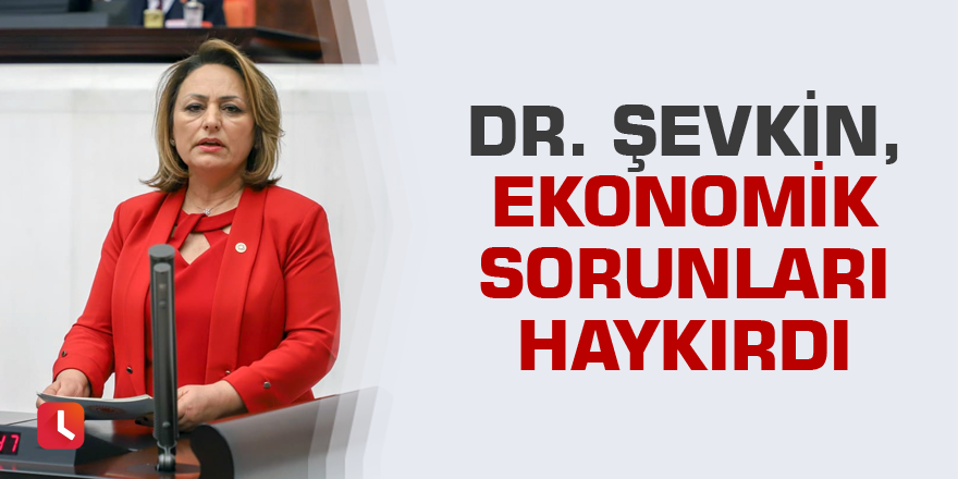 Dr. Şevkin, ekonomik sorunları haykırdı