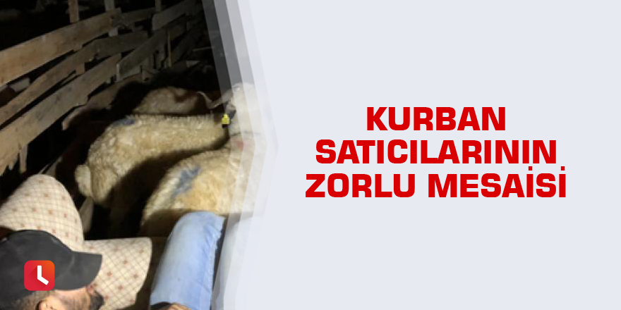 Kurban satıcılarının zorlu mesaisi