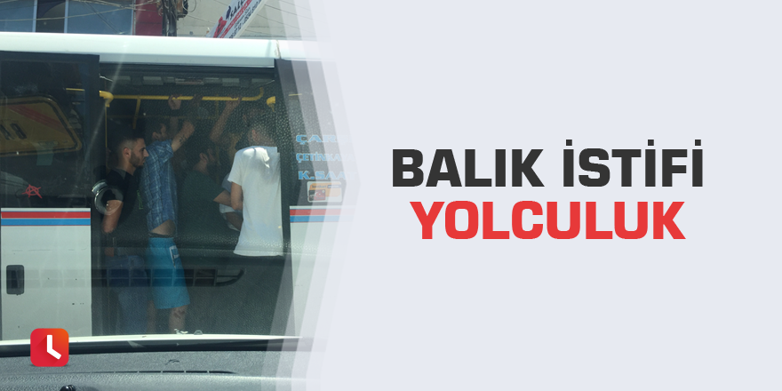 Balık istifi yolculuk