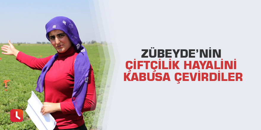 Zübeyde’nin çiftçilik hayalini kabusa çevirdiler