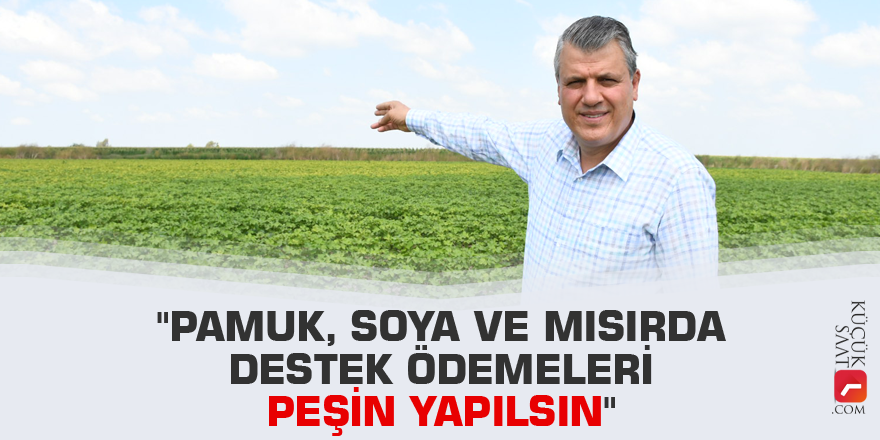 "Pamuk, soya ve mısırda destek ödemeleri peşin yapılsın"