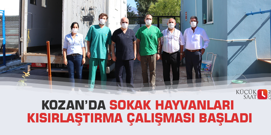 Kozan’da Sokak hayvanları kısırlaştırma çalışması başladı