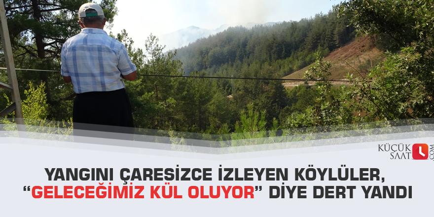 Yangını çaresizce izleyen köylüler, “Geleceğimiz kül oluyor” diye dert yandı