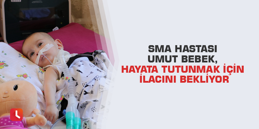 SMA hastası Umut bebek, hayata tutunmak için ilacını bekliyor