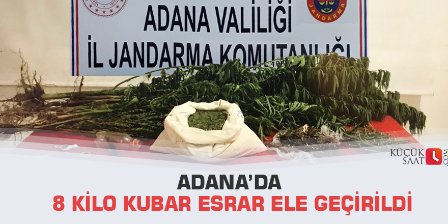 Adana’da 8 kilo kubar esrar ele geçirildi