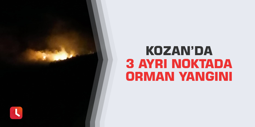 Kozan’da 3 ayrı noktada orman yangını