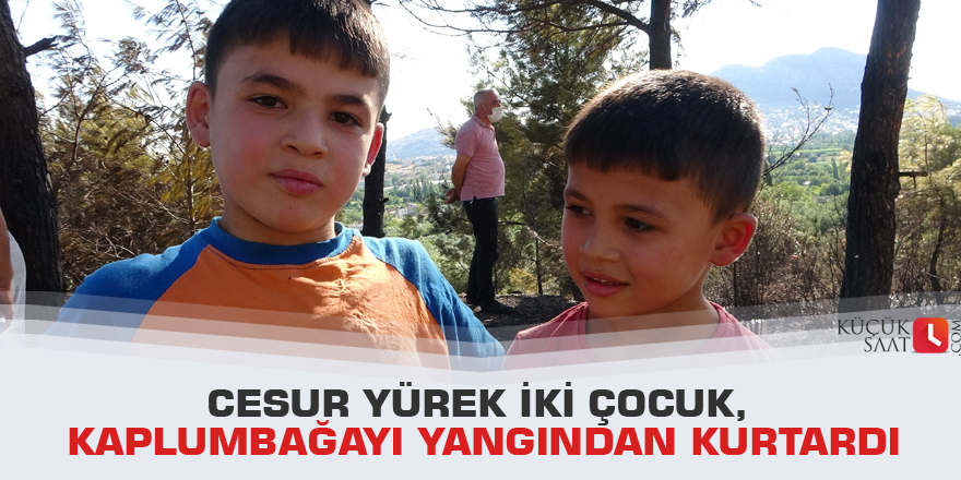 Cesur yürek iki çocuk, kaplumbağayı yangından kurtardı