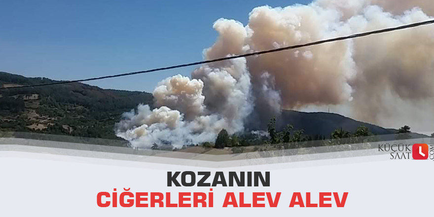 Kozanın ciğerleri alev alev