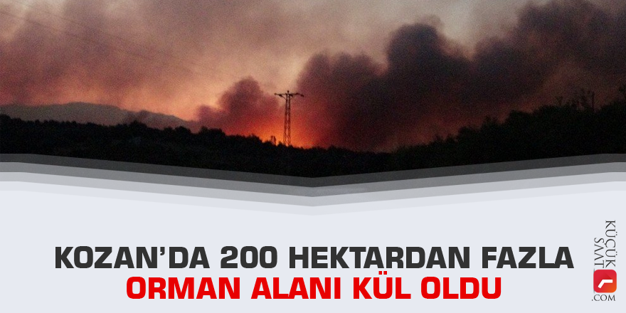 Kozan’da 200 hektardan fazla orman alanı kül oldu