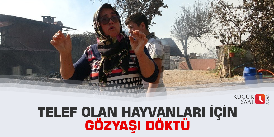 Telef olan hayvanları için gözyaşı döktü