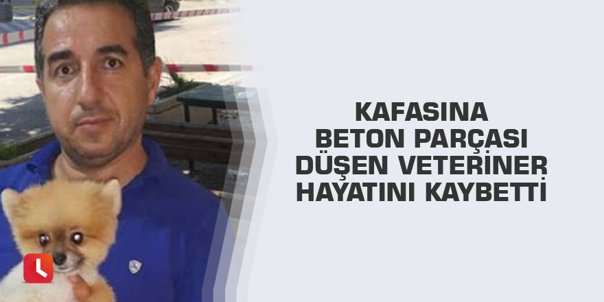 Kafasına beton parçası düşen veteriner hayatını kaybetti