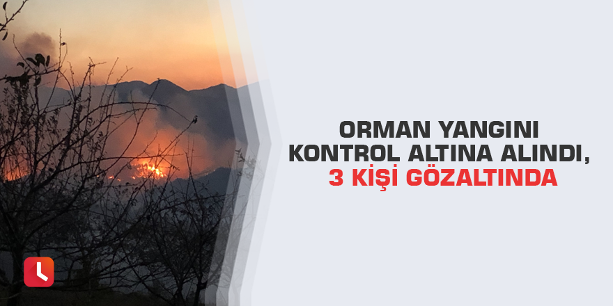 Orman yangını kontrol altına alındı, 3 kişi gözaltında