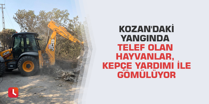 Kozan'daki yangında telef olan hayvanlar, kepçe yardımı ile gömülüyor