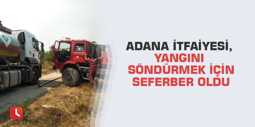 Adana itfaiyesi, yangını söndürmek için seferber oldu