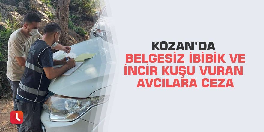 Kozan’da belgesiz ibibik ve incir kuşu vuran avcılara ceza