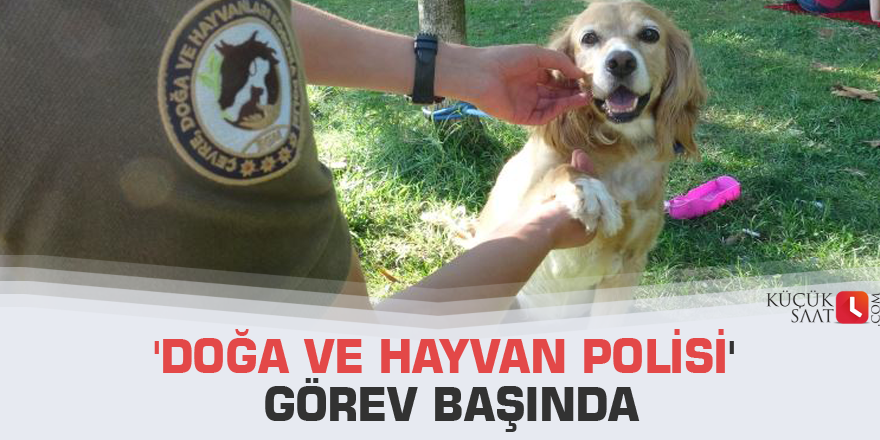 'Doğa ve hayvan polisi' görev başında