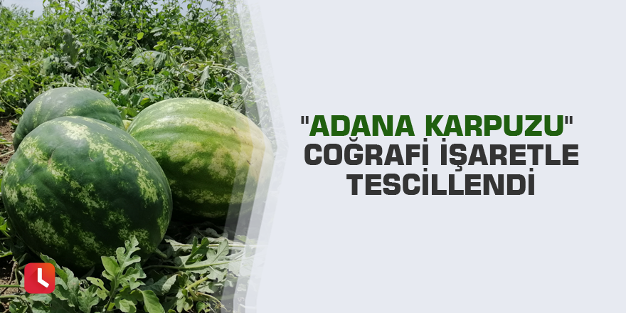 "Adana karpuzu" coğrafi işaretle tescillendi