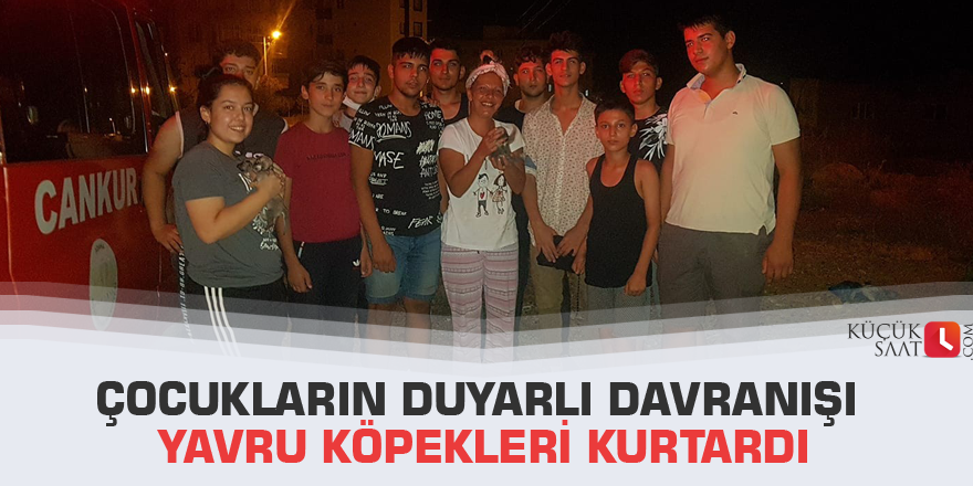 Çocukların duyarlı davranışı yavru köpekleri kurtardı