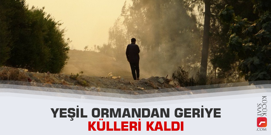 Yeşil ormandan geriye külleri kaldı