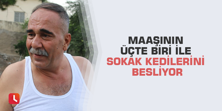 Maaşının üçte biri ile sokak kedilerini besliyor