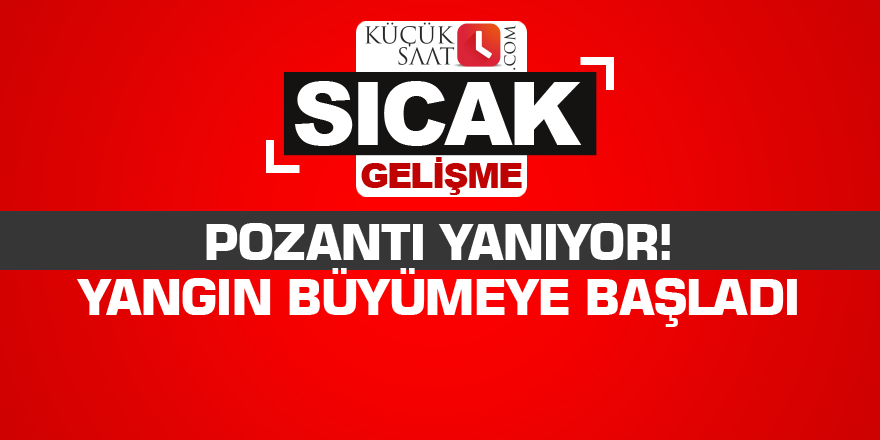 Pozantı yanıyor! Yangın büyümeye başladı