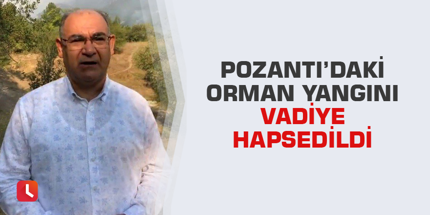 Pozantı’daki orman yangını vadiye hapsedildi