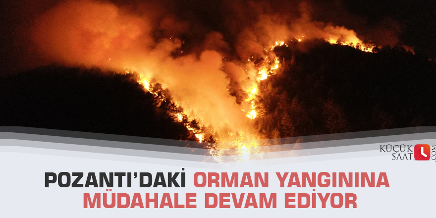 Pozantı’daki orman yangınına müdahale devam ediyor