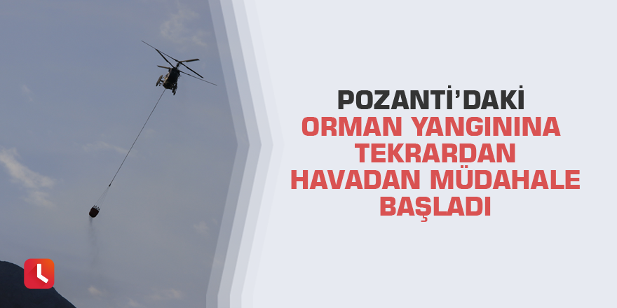 Pozantı’daki orman yangınına tekrardan havadan müdahale başladı