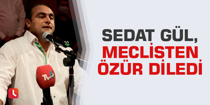 Sedat Gül, meclisten özür diledi