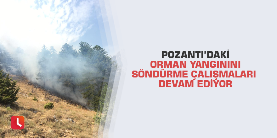 Pozantı’daki orman yangınını söndürme çalışmaları devam ediyor