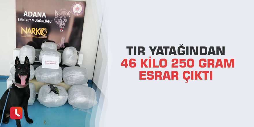 Tır yatağından 46 kilo 250 gram esrar çıktı