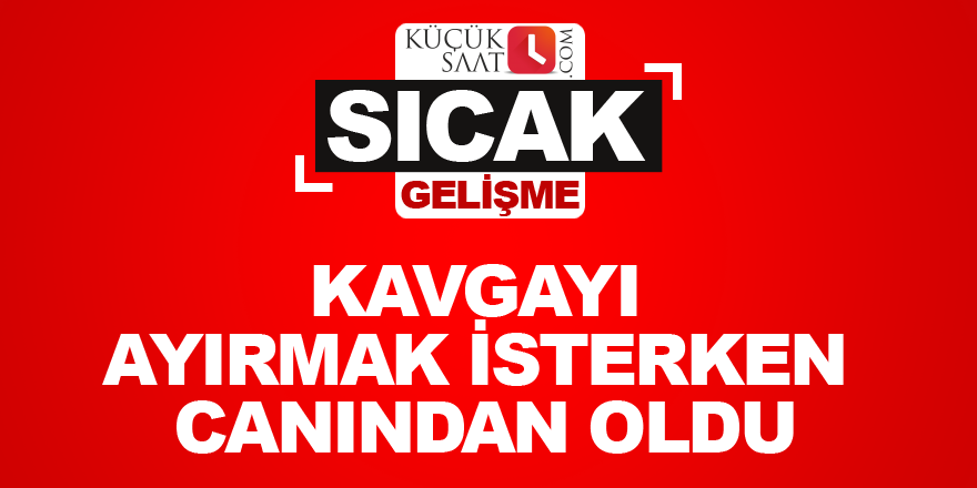 Kavgayı ayırmak isterken canından oldu