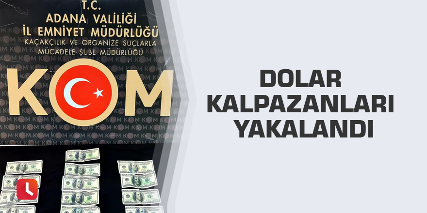 Dolar kalpazanları yakalandı