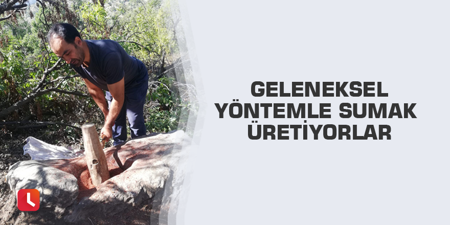 Geleneksel yöntemle sumak üretiyorlar