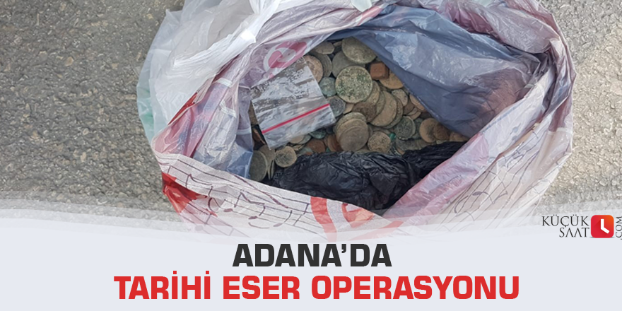 Adana’da tarihi eser operasyonu