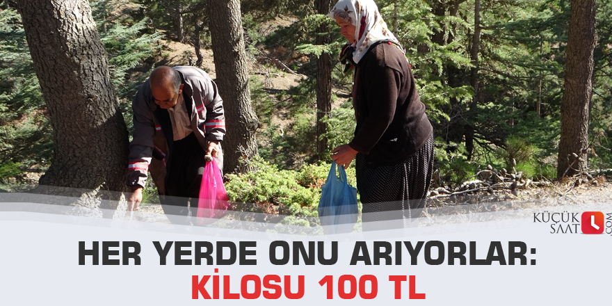 Her yerde onu arıyorlar: Kilosu 100 TL