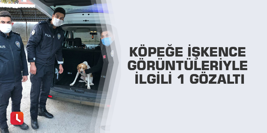 Köpeğe işkence görüntüleriyle ilgili 1 gözaltı