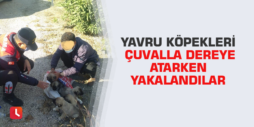 Yavru köpekleri çuvalla dereye atarken yakalandılar