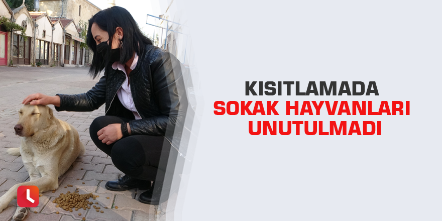 Kısıtlamada sokak hayvanları unutulmadı