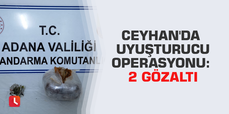 Ceyhan'da uyuşturucu operasyonu: 2 gözaltı