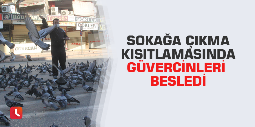 Sokağa çıkma kısıtlamasında güvercinleri besledi